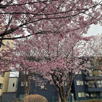 画像414