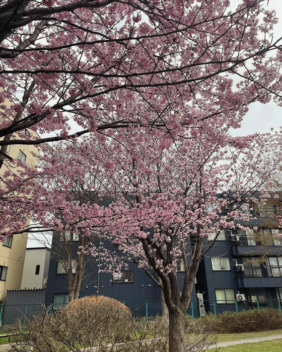画像414